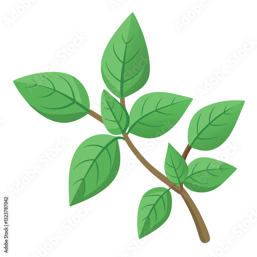 Illustration-of-oregano-isolated-on-white background.