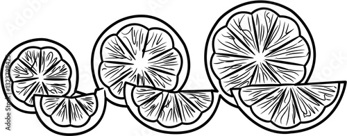 fresh juice orange slice coloring page