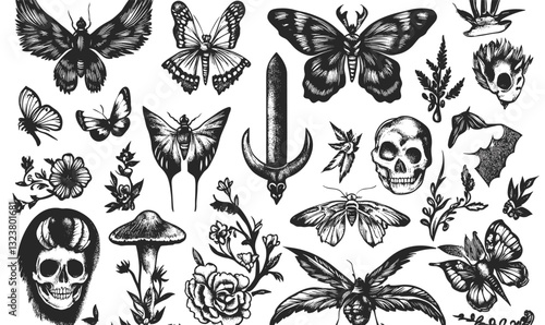 Skulls, moths, and butterflies with nature elements in black and white - linear icons set - vector.