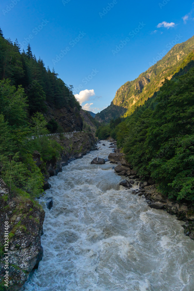 Whitewater rapids cascading through a narrow gorge with lush green trees and rocky cliffs on each side, under a clear blue sky, creating a dramatic and powerful natural landscape