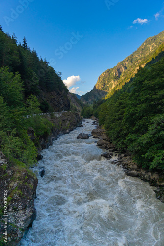Obraz na płótnie Whitewater rapids cascading through a narrow gorge with lush green trees and rocky cliffs on each side, under a clear blue sky, creating a dramatic and powerful natural landscape w salonie