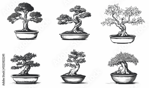 Bonsai tree collection vector, linear icons set.