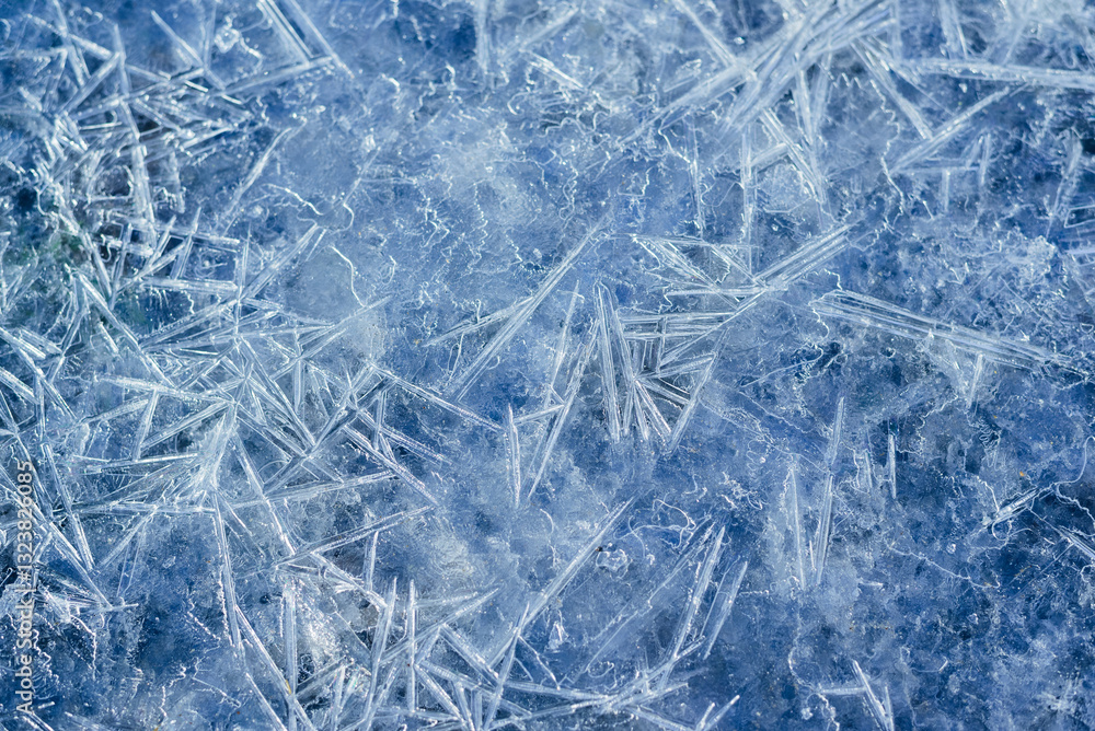 Winter snowy banner, frozen background. A scattering of large long ice crystals Winter snowy banner, frozen background. A scattering of large long ice crystals