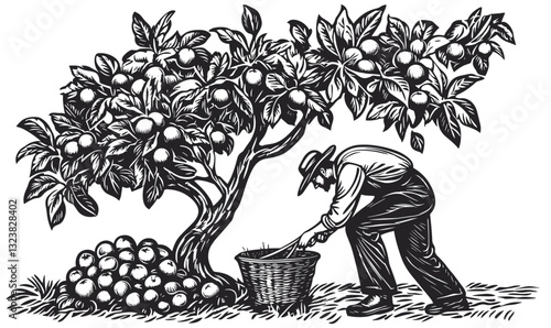 Farmer harvesting apples from tree - black and white linear icons set vector.