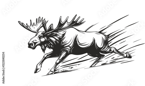 Majestic moose running in black and white, detailed wildlife vector, linear art icons set.