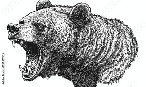 Roaring bear head illustration, detailed animal art, vector, linear style.