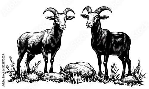 Two goats in nature, black and white linear icons set vector.