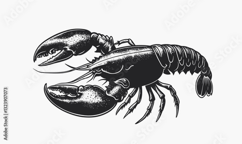 Detailed lobster sketch, crustacean illustration, marine life icons set, linear vector.