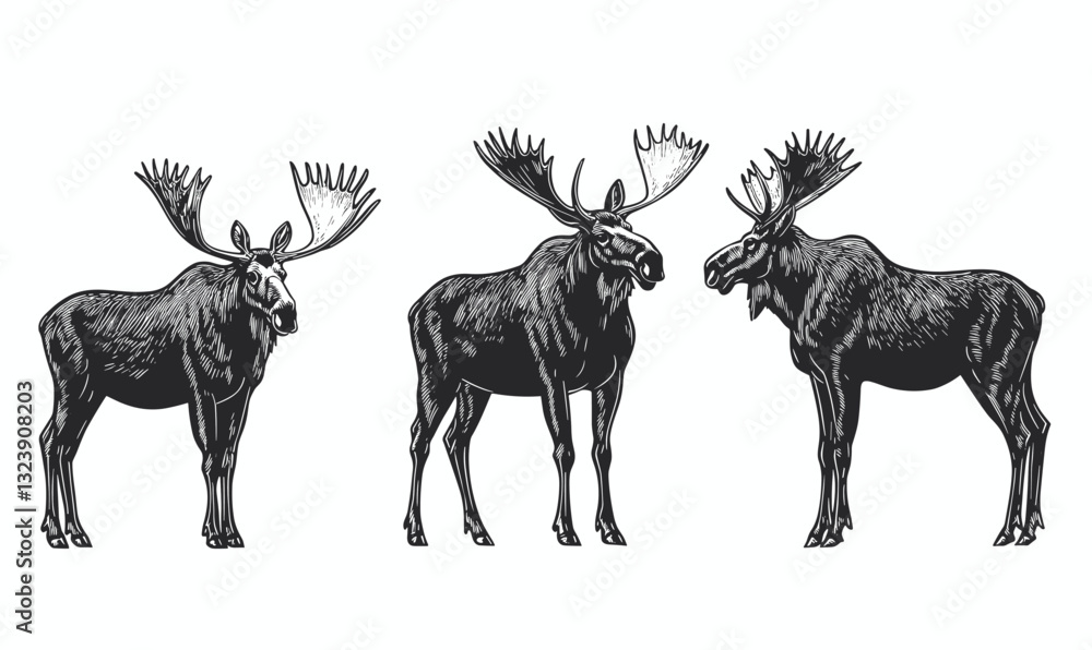 Fototapeta premium Moose silhouettes collection, detailed animal depictions in linear icons set, vector.