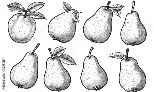 Apple and pear hand-drawn fruit icons set, black and white vector, flat style.