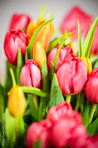Bukiet tulipanów tulipan  © Grzegorz
