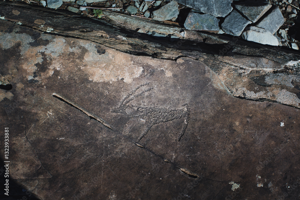 Ancient petroglyphs carved into the rocks of the Altai Republic, showcasing historical artistry and cultural heritage.