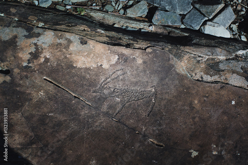 Obraz na płótnie Ancient petroglyphs carved into the rocks of the Altai Republic, showcasing historical artistry and cultural heritage. w salonie