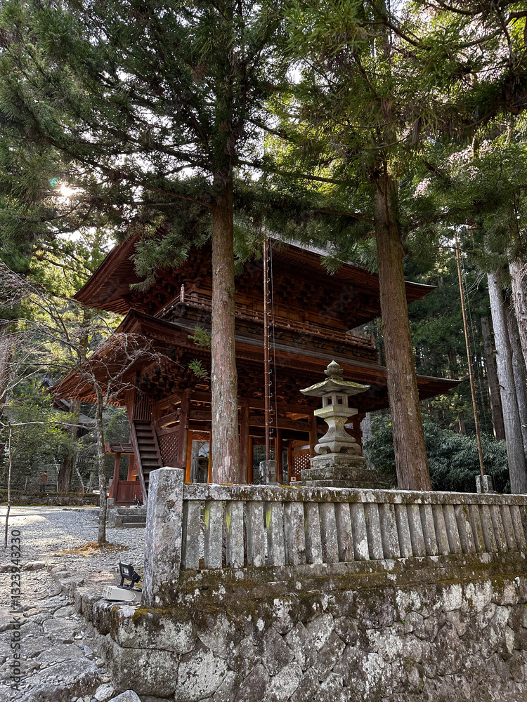 Koyasan Temple Forest