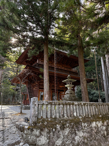Obraz na płótnie Koyasan Temple Forest w salonie