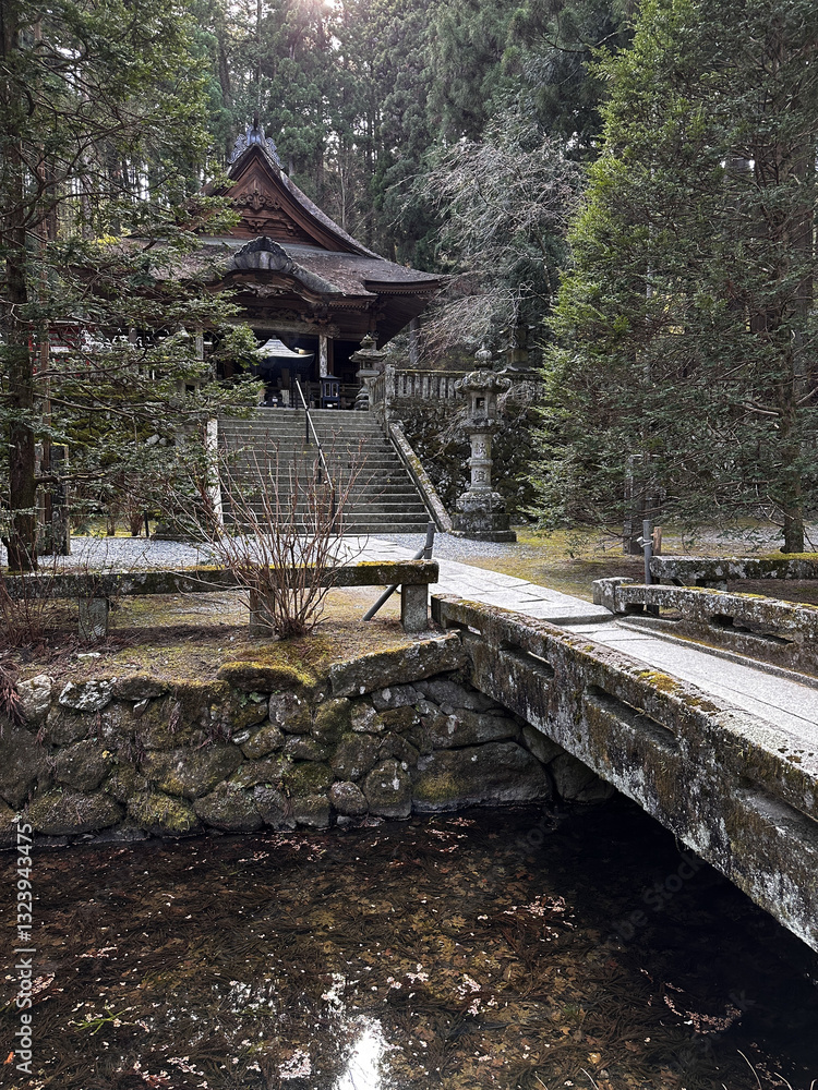 Koyasan Temple Forest