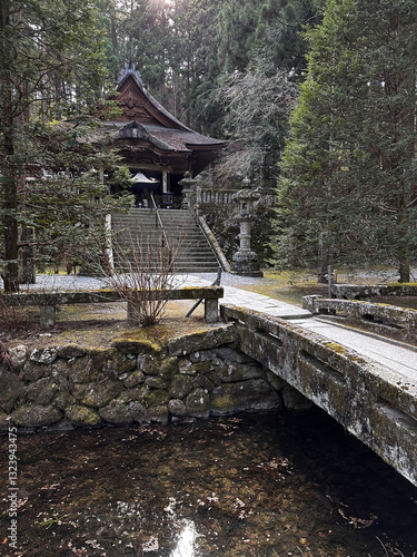 Obraz na płótnie Koyasan Temple Forest w salonie