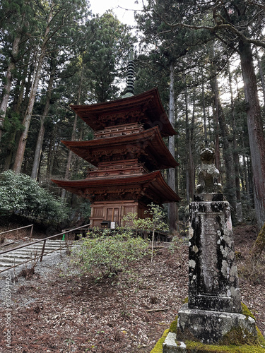 Obraz na płótnie Koyasan Pagoda Forest Haven w salonie