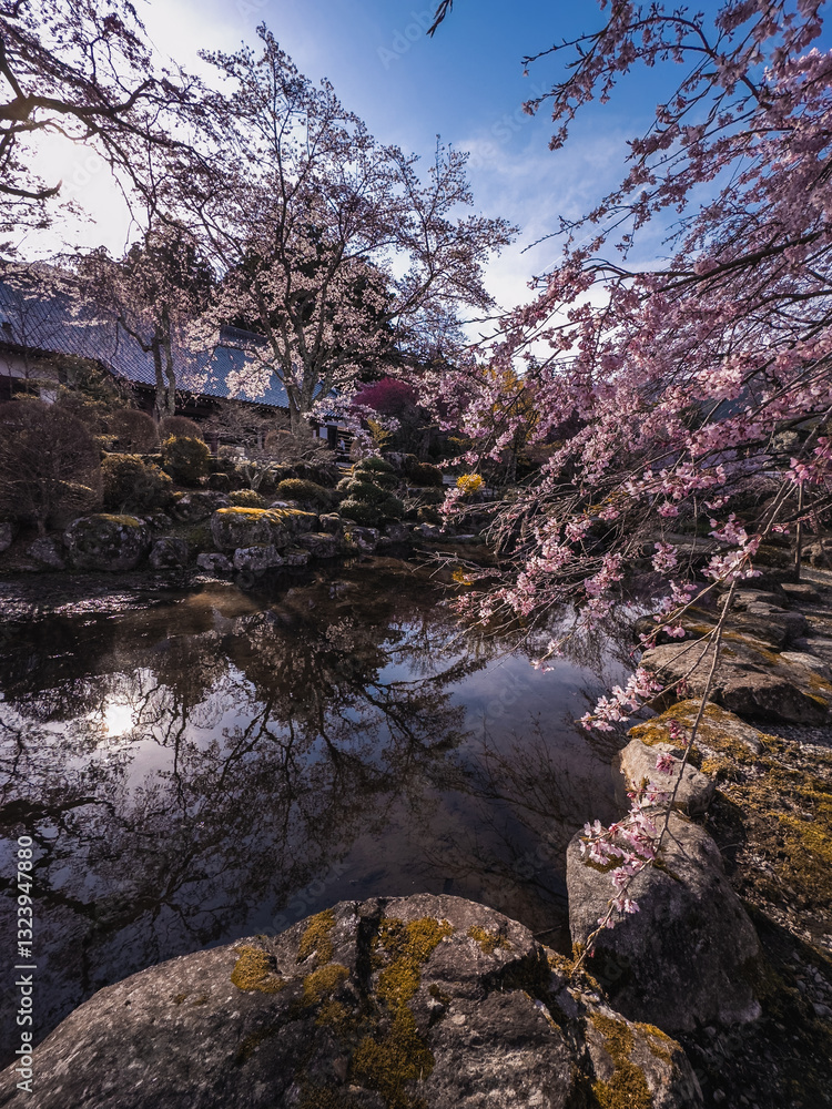 Koyasan Temple Garden Reflection