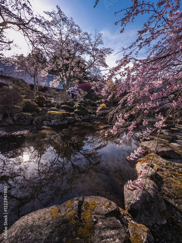 Obraz na płótnie Koyasan Temple Garden Reflection w salonie