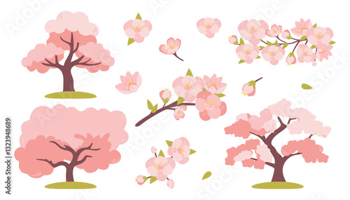 Cherry blossoms vector set. Sakura set, trees, branches and Japanese cherry blossoms. Illustrations for Hanami holiday. 