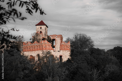 Old castle in Poland. Selective focus.
