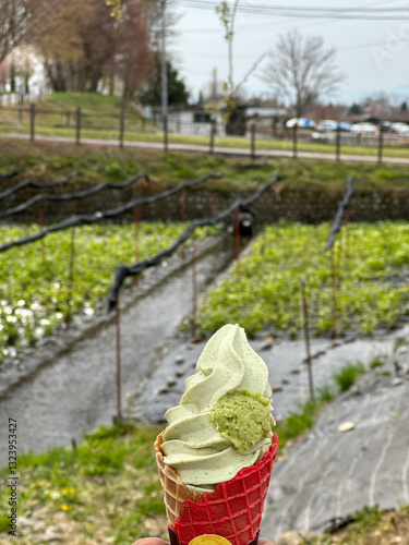 Fresh Wasabi Treat