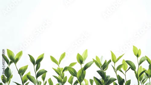 Wallpaper Mural Bringing Nature Inside: Creative Ways to Incorporate Plants into Small Space Living for a Vibrant Atmosphere Torontodigital.ca