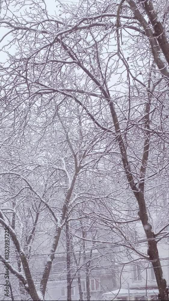 Snow-covered streets, snow-covered cars, and snowdrifts the beauty of winter in the city. Snow-covered streets, snow-covered cars, and snowdrifts the beauty of winter in the city.