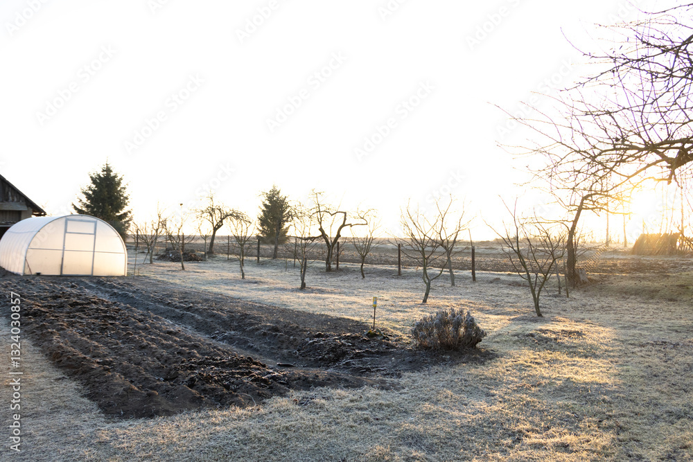 Fototapeta premium spring frosts on the grass in the garden plot at dawn
