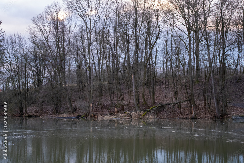 Obraz premium Melting Ice on a Forest Pond in Early Spring