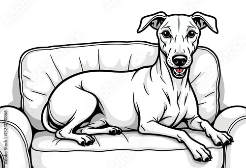 Elegant Greyhound Line Art: Black and White Illustration Featuring a Greyhound Lounging on a Couch, Ideal for Pet Product Designs, Veterinary Clinic Branding, and Dog Lover Merchandise.

