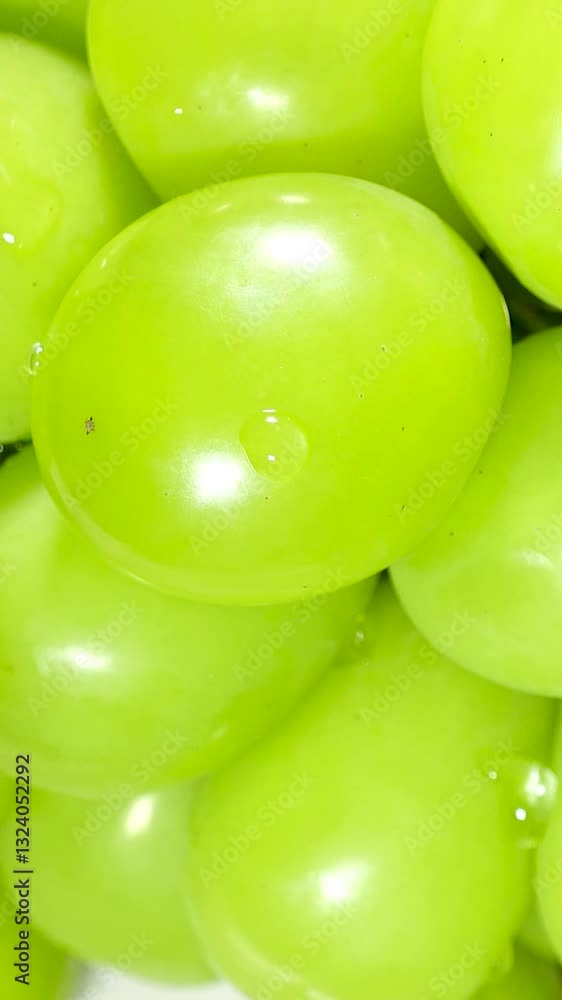 SHINE MUSCAT grape, rotating on plate, black background. Large yellow-green berries, crisp flesh texture and low acidity. This one is 800grams, product from Okayama, Japan. Vertical shot.