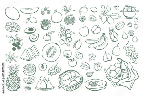 Hand drawn different fruits set. Vegan food collection in sketch style