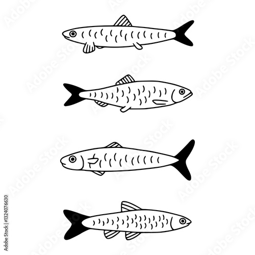 set of sardine fish outline drawings