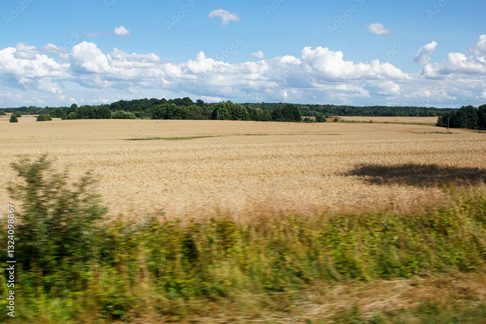 view of field from moving car. blur
