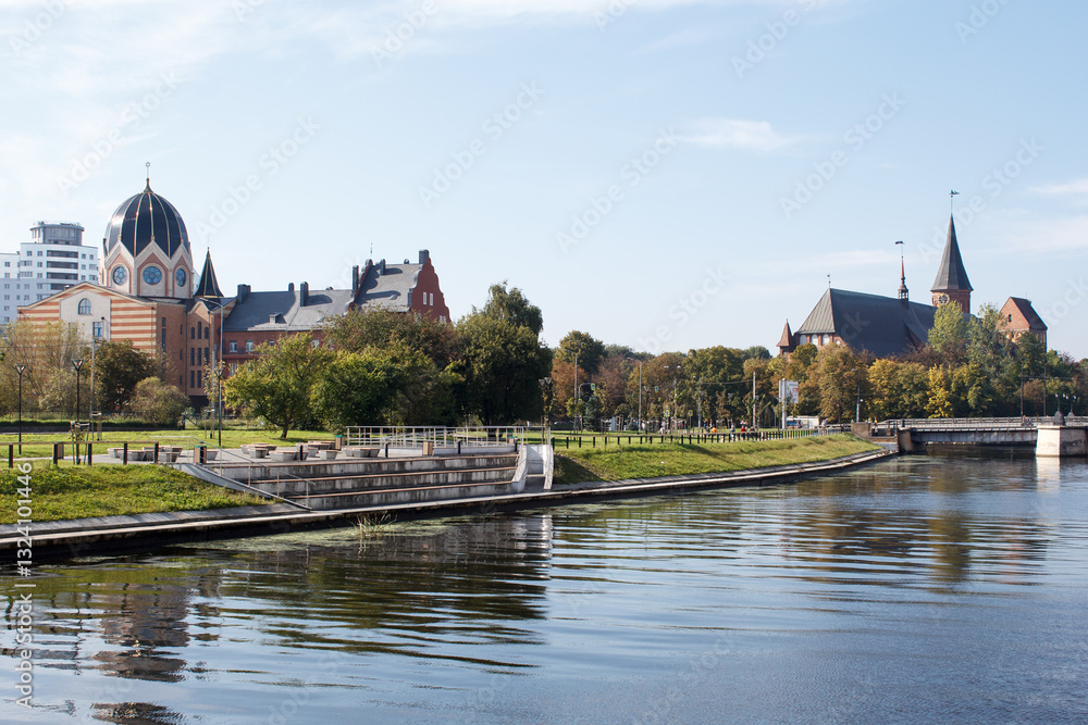 synagogue and cathedral on sunny summer day