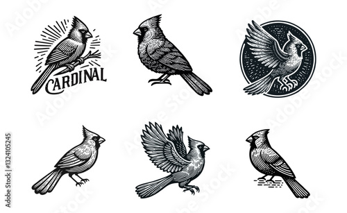 cardinal engrave logo icon design illustration