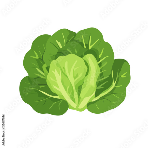 My Simple flat 2D icon lettuce flowers leaves isolated on a white background, vector, flat design, animation design, simple flat 2D icon, minimalist design, clipart
