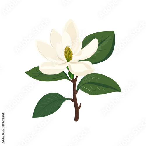 My Simple flat 2D icon white magnolia branch and green leaf isolated on a white background, vector, flat design, animation design, simple flat 2D icon, minimalist design, clipart