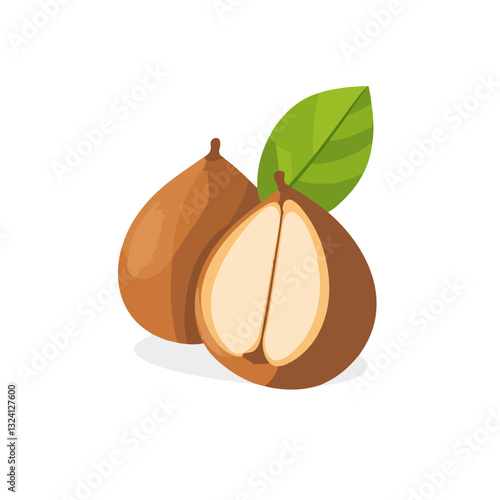 Very Simple flat 2D icon sapodilla branch isolated on a white background, vector, flat design, animation design, simple flat 2D icon, minimalist design, clipart