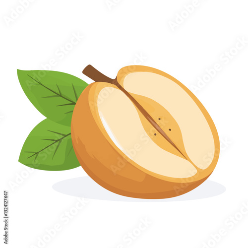 Very Simple flat 2D icon sapodilla isolated on a white background, vector, flat design, animation design, simple flat 2D icon, minimalist design, clipart