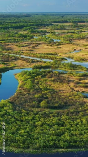 Wallpaper Mural Aerial View Green Forest Woods And Curved River Landscape In Sunny Spring Day. Top View Of Beautiful European Nature From High Attitude In Spring Season. Drone View. Bird's Eye View Torontodigital.ca
