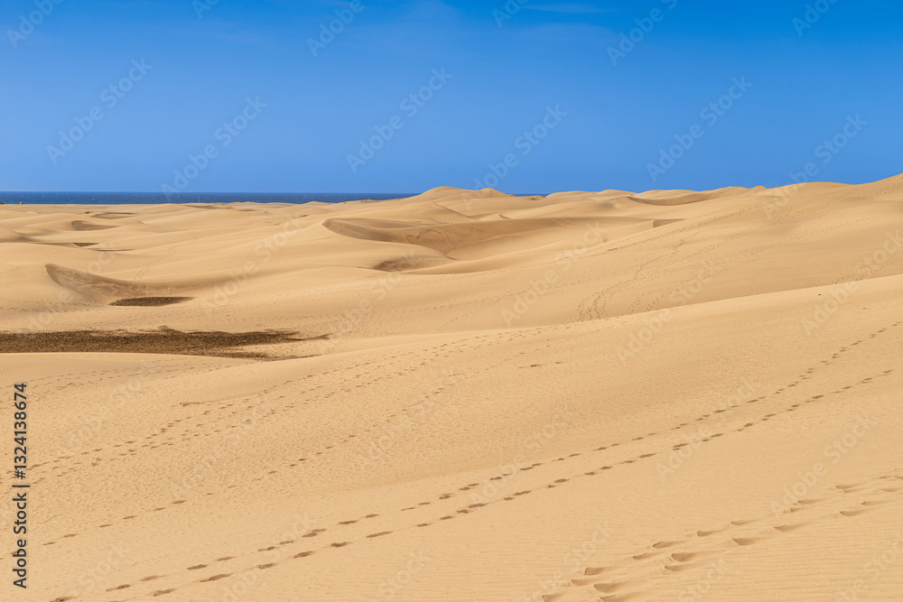The Dunes of Maspalomas are a small desert of about 4 km² located in the municipality of San Bartolomé de Tirajana, between Maspalomas and Playa del Inglés on the island of Gran Canaria. The Dunes of Maspalomas are a small desert of about 4 km² located in the municipality of San Bartolomé de Tirajana, between Maspalomas and Playa del Inglés on the island of Gran Canaria.