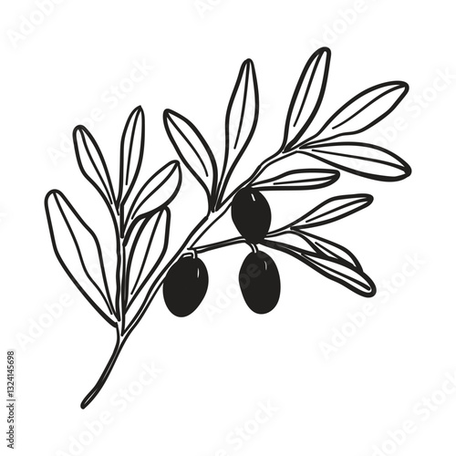 Hand drawn line olive branch in sketch style. Doodle black drawing for t-shirt print, invitation, card, design. Italian greek summer element.	