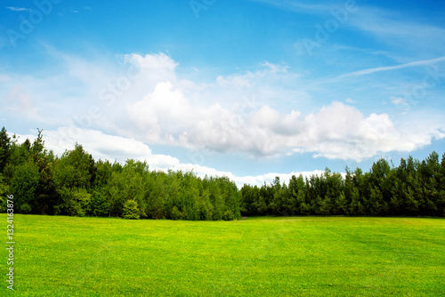 Field trees and blue sky