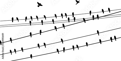 Set Of Birds Standing On a Wire