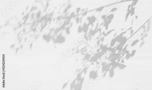 Obraz na plátně Abstract leaf shadow and light blurred background