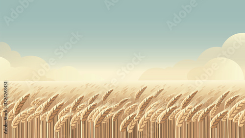 wheat field landscape minimal vector background