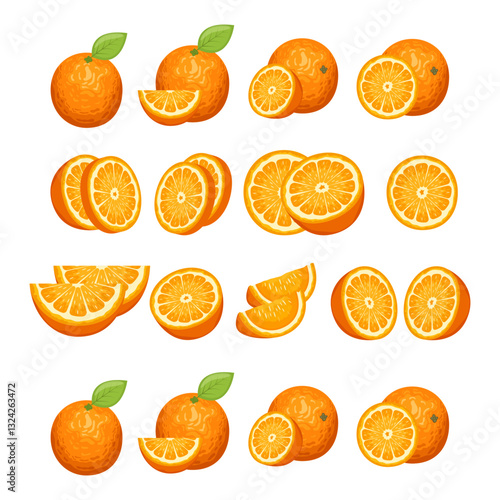 Collection of Fresh Orange Fruit Slices in Artistic Realistic Illustrative Style